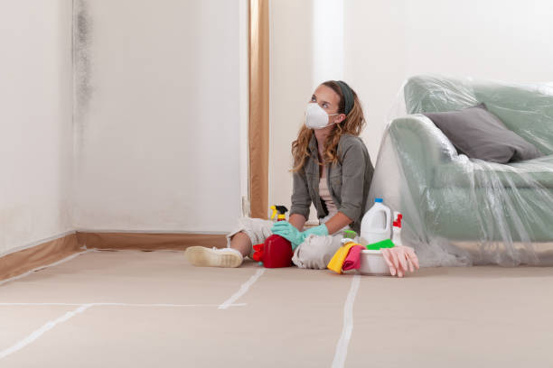 Reliable Commercial Mold Remediation contractor in Bel Air, MD by WQB Mold Removal